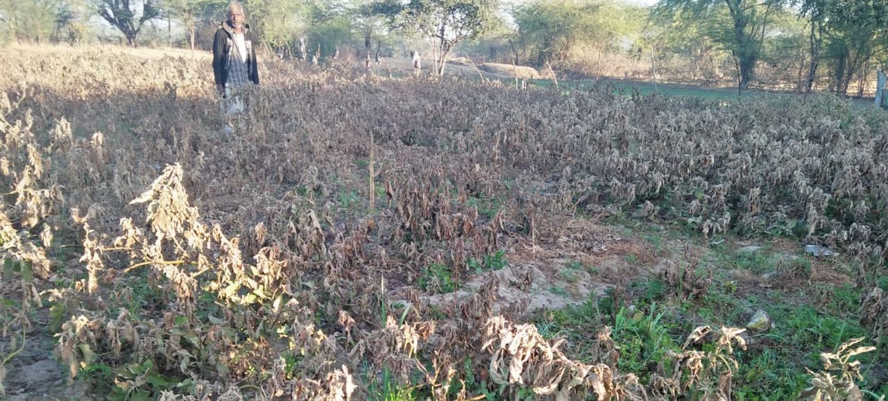 Rajsamand news,Rajsamand Hindi news,Rajsamand local news,rajsamand latest news,rajsamand hindi latest news,