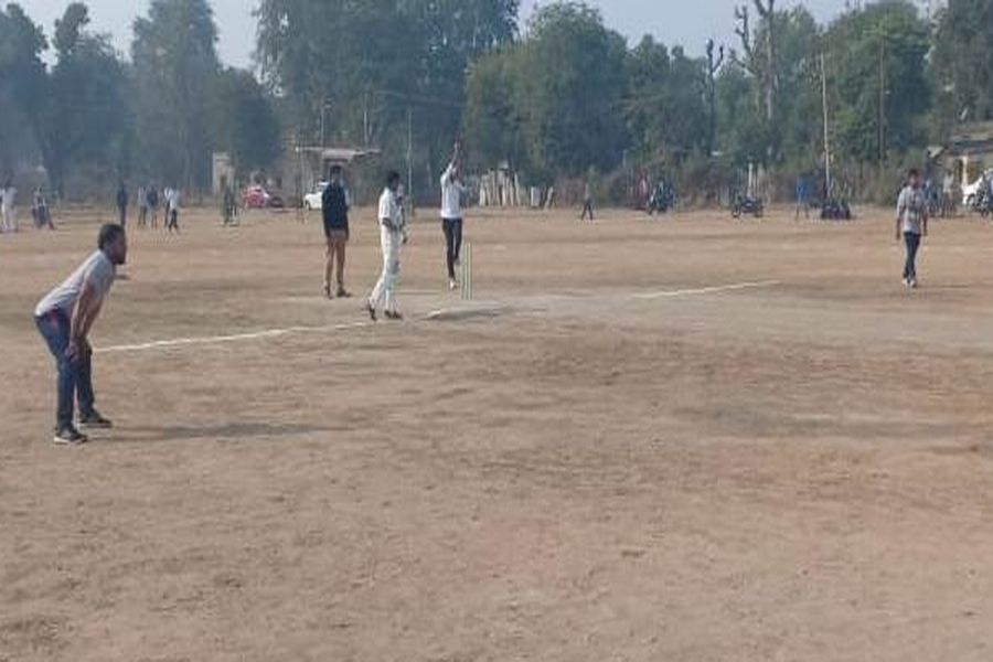 cricket