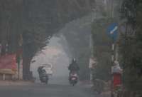 beautiful piks of fog in morning