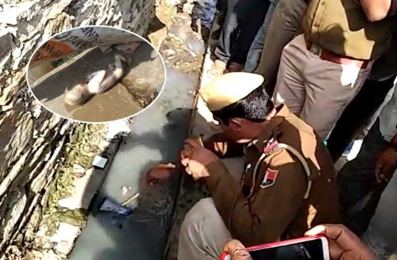 रानोली कस्बे के सरकारी अस्पताल के बाहर नाली के अंदर एक छह माह का भू्रण मिला है।