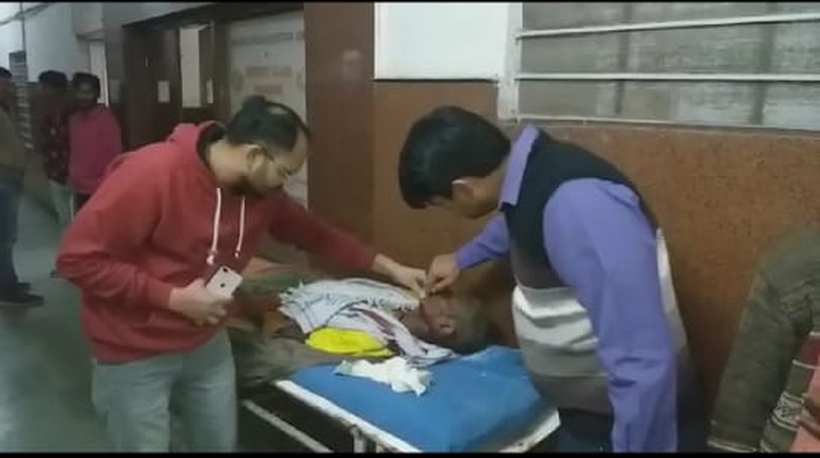 Six injured by Panther attack
