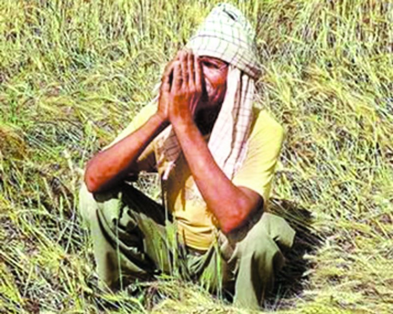 jameen napne ka apps download jamin napne ka formula pdf download