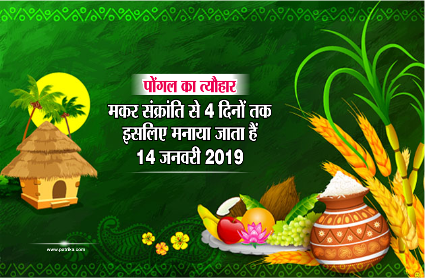 pongal festival