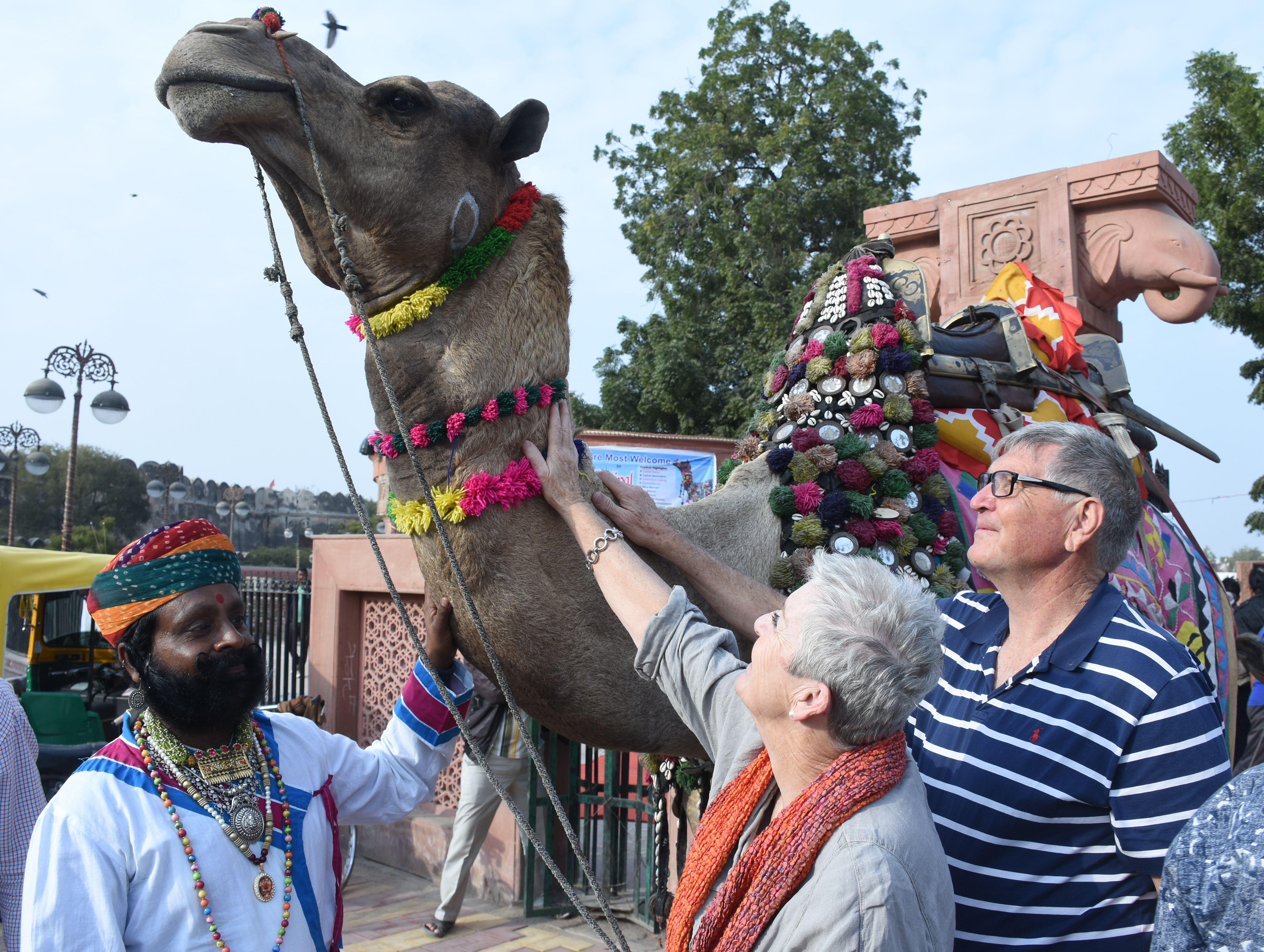 International Camel Festival 2019