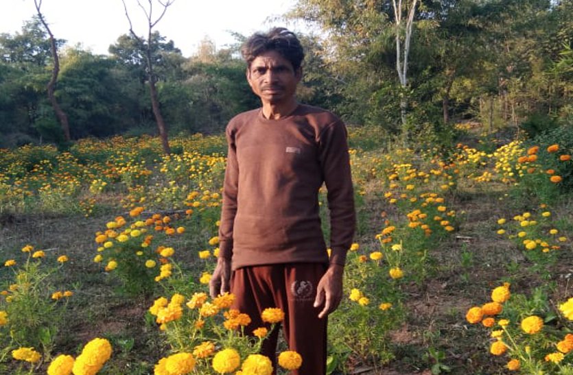 Farmer's Far Poverty With Flower Farming