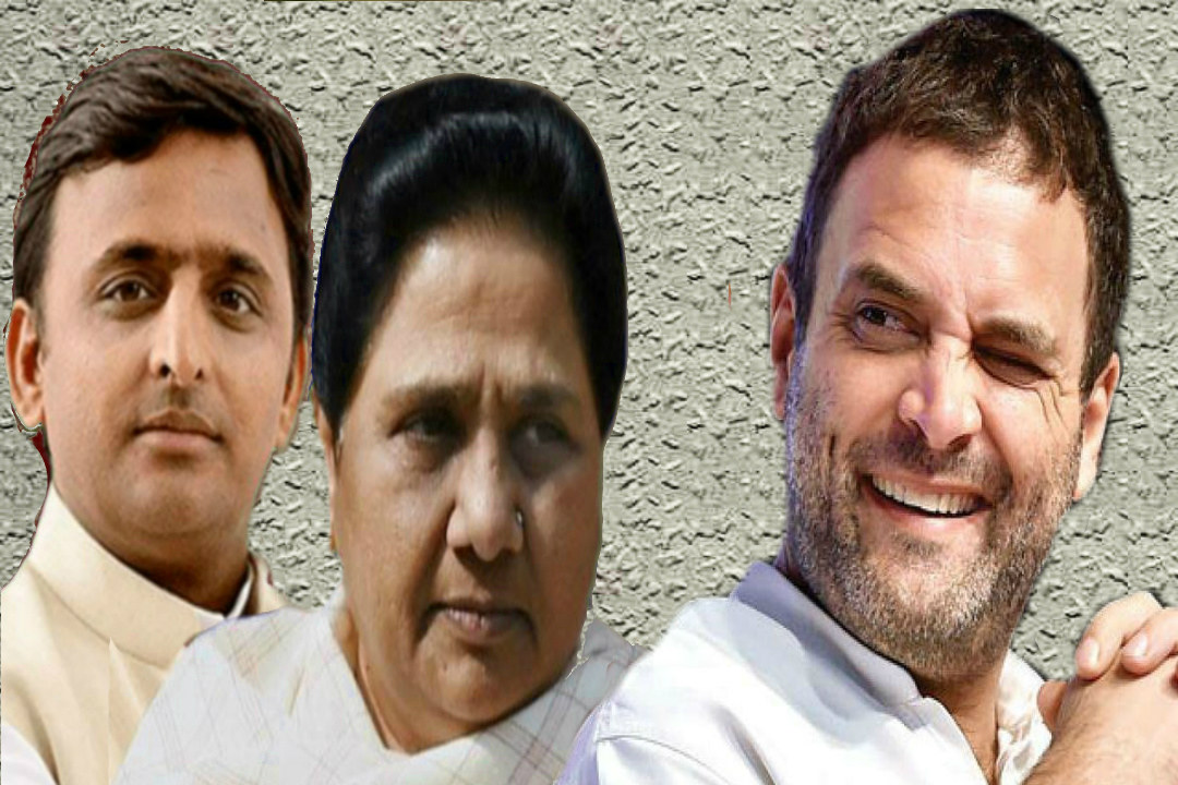 Shalini yadav will be SP-BSP-RLD candidate against PM Narendra Modi