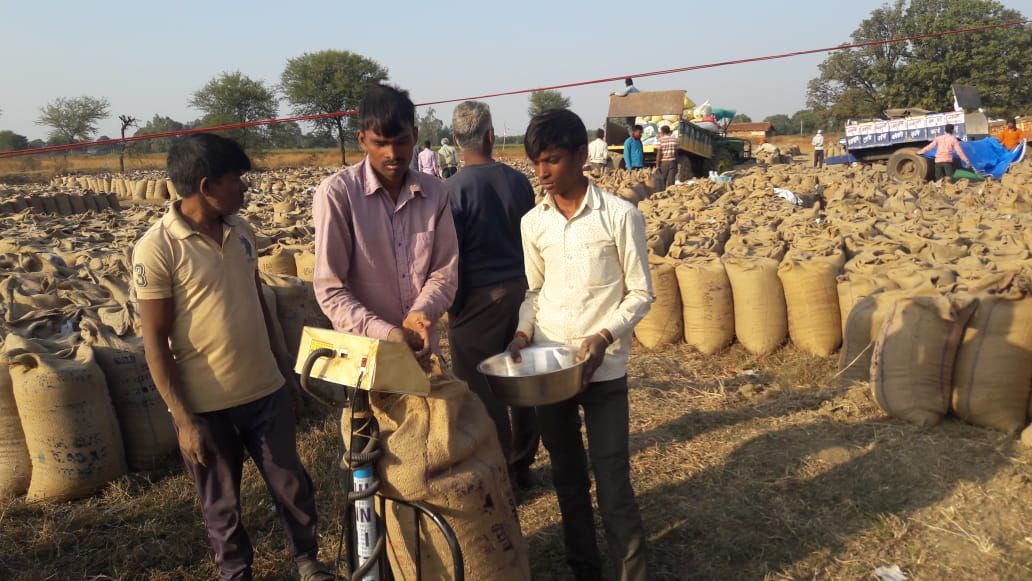 Collector collects weight of 41 kg of paddy