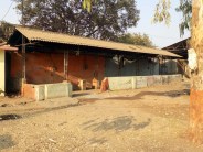Paddy Procurement, Center, Madhwa, Farmer, Controversy, Grain, Society, rigging