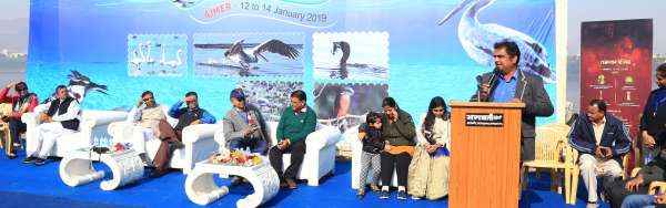 Beautiful Photos of Bird Fare 2019