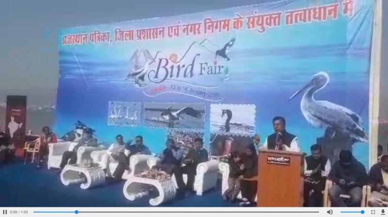 beautiful pics of bird fair in ajmer