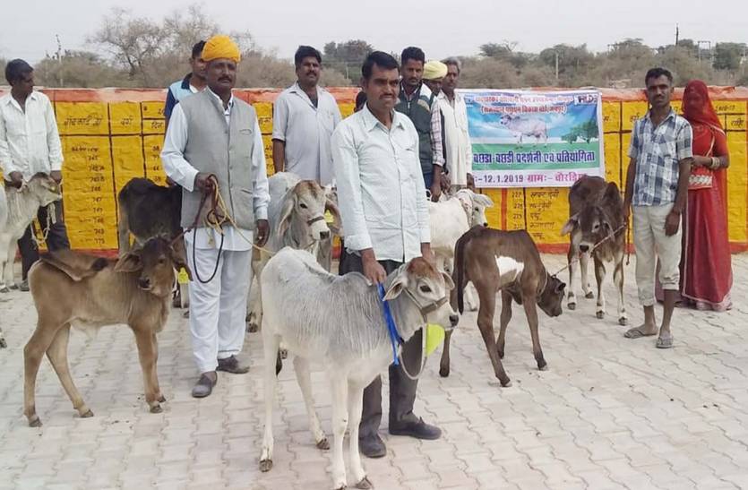 Exercise of increasing number of tharparkar cows