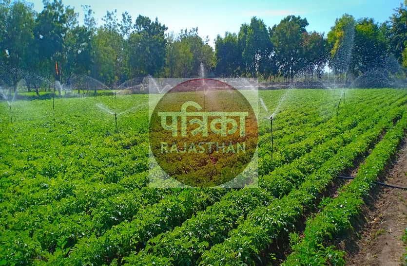 sirohi