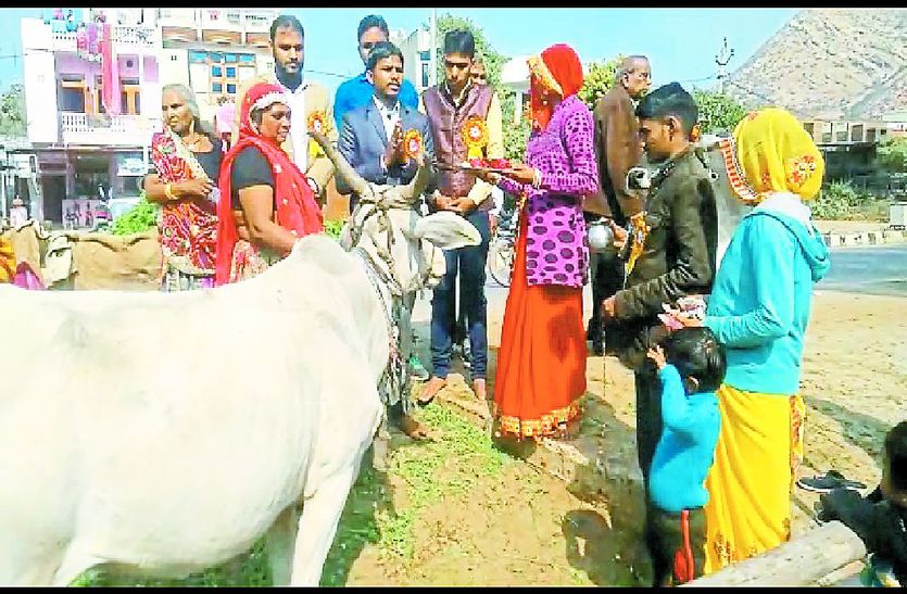 चारा खिलाते हुए