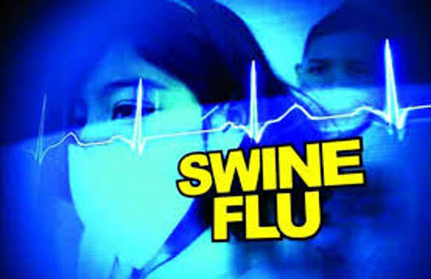 Two people die from swine flu