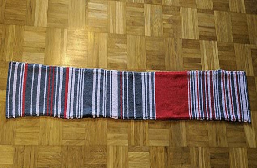 train delay scarf of germany went viral on social media