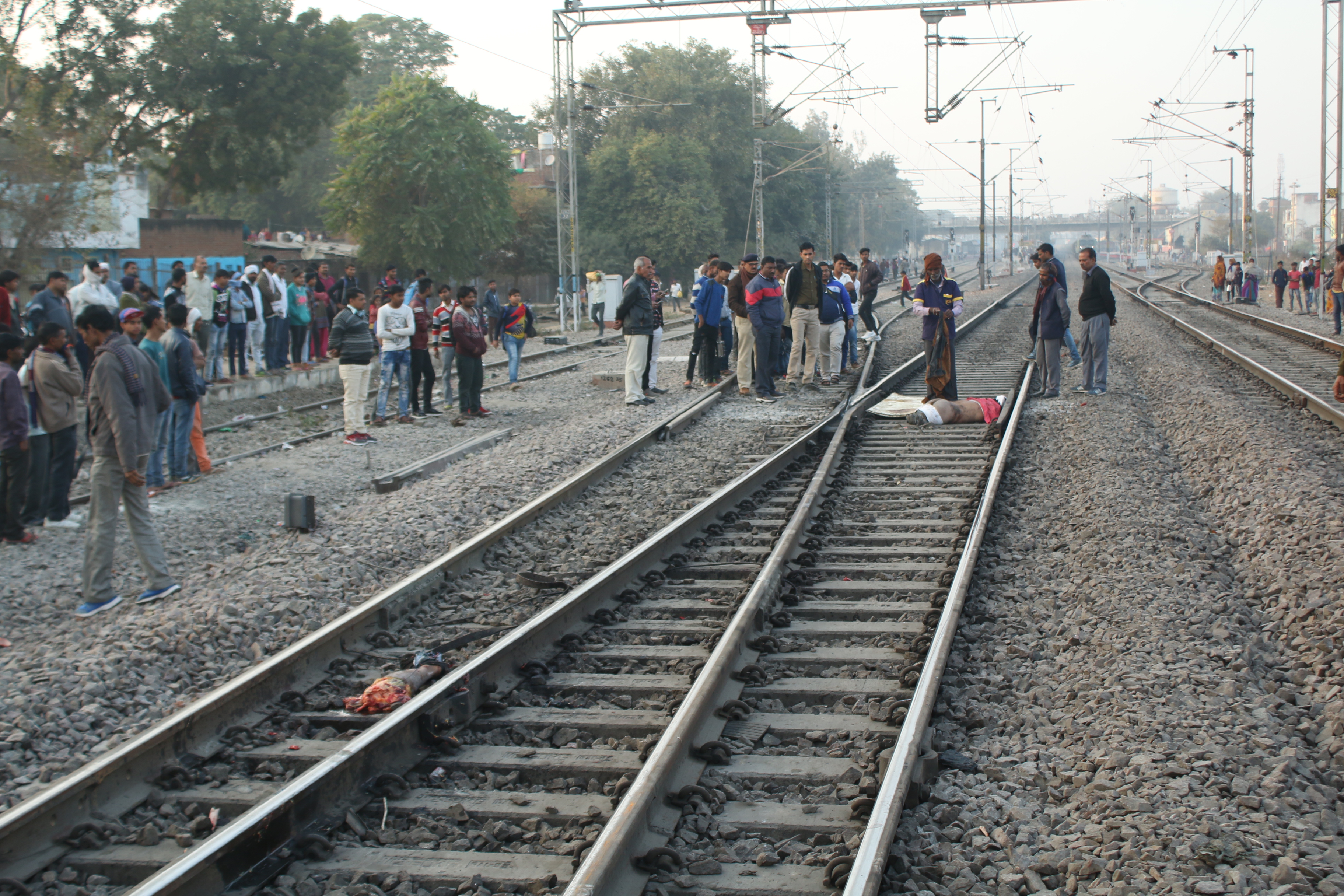 police, death, train, suside, morena news in hindi, mp news