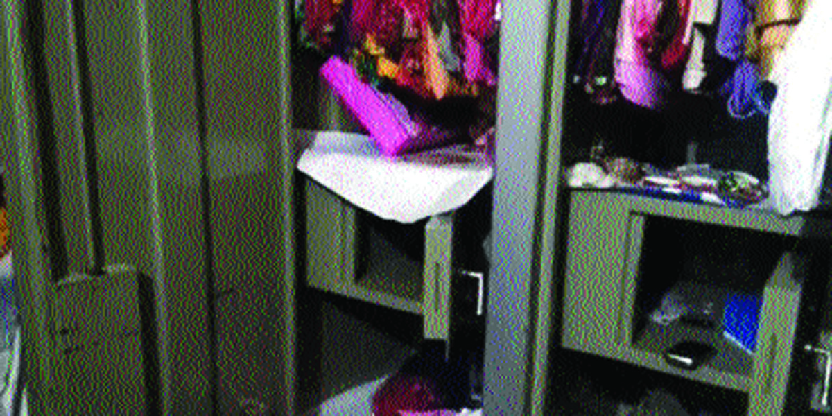 the thieves did the whole house clean