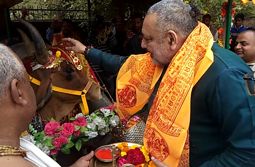 cow to be connected with finance not with mob lynching: giriraj singh