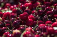 super foods