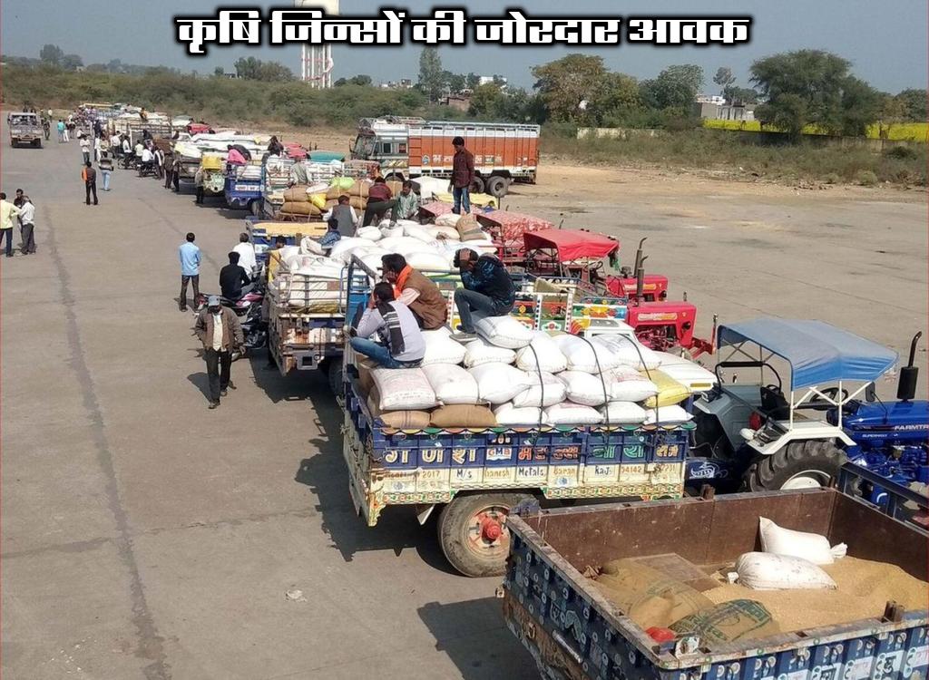 500 gms of quintal in soyabean prices in a fortnight