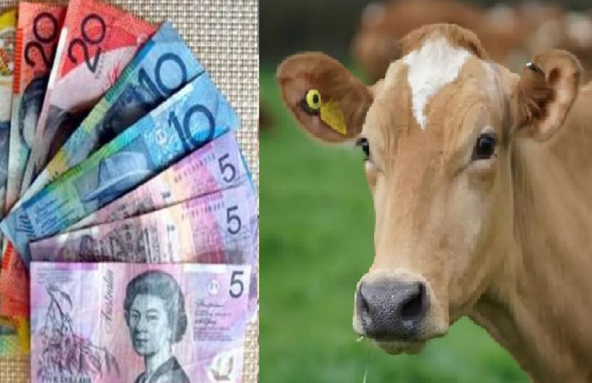 Reserve bank of Australia issues note coated with beef NRI hindus calls it controversies
