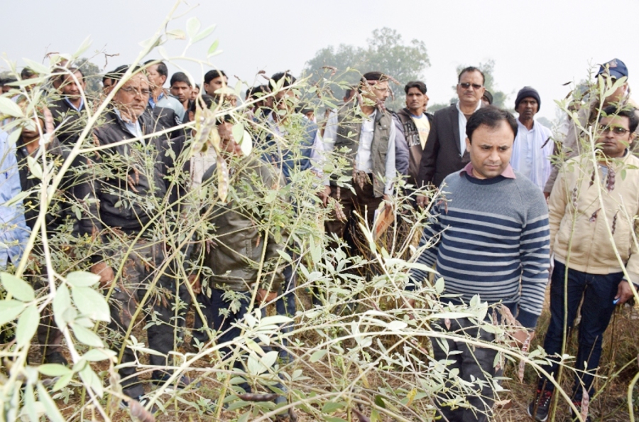 Inspection of Singrauli collector in villages, crop spoiled snowfall