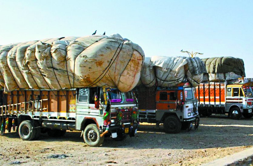 Fodder and water crisis, increased concern