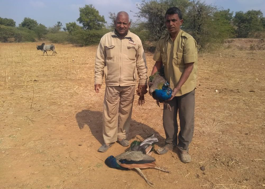 सर्दी से दम घुटा और हो गई पांच की मौत…