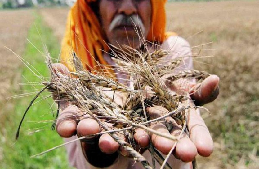 farmers