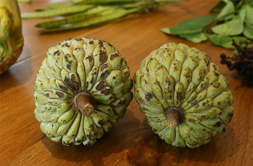 learn-the-benefits-of-eating-custard-apple