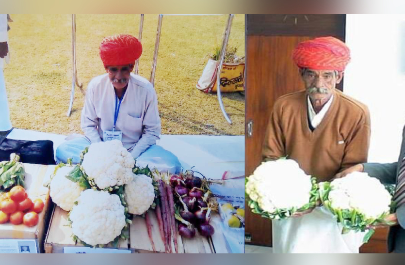 सबसे वजनी गोभी का फूल उगाने का विश्व रिकॉर्ड कायम कर लिम्का बुक में नाम दर्ज कराने वाले सीकर के अजीतगढ़ कस्बे किसान जगदीश पारीक का चयन अब पद्मश्री पुरस्कार के लिए हुआ है। जैविक खेती को नया आयाम देने वाले जगदीश राष्ट्रपति से यह पुरस्कार हासिल करेंगे।