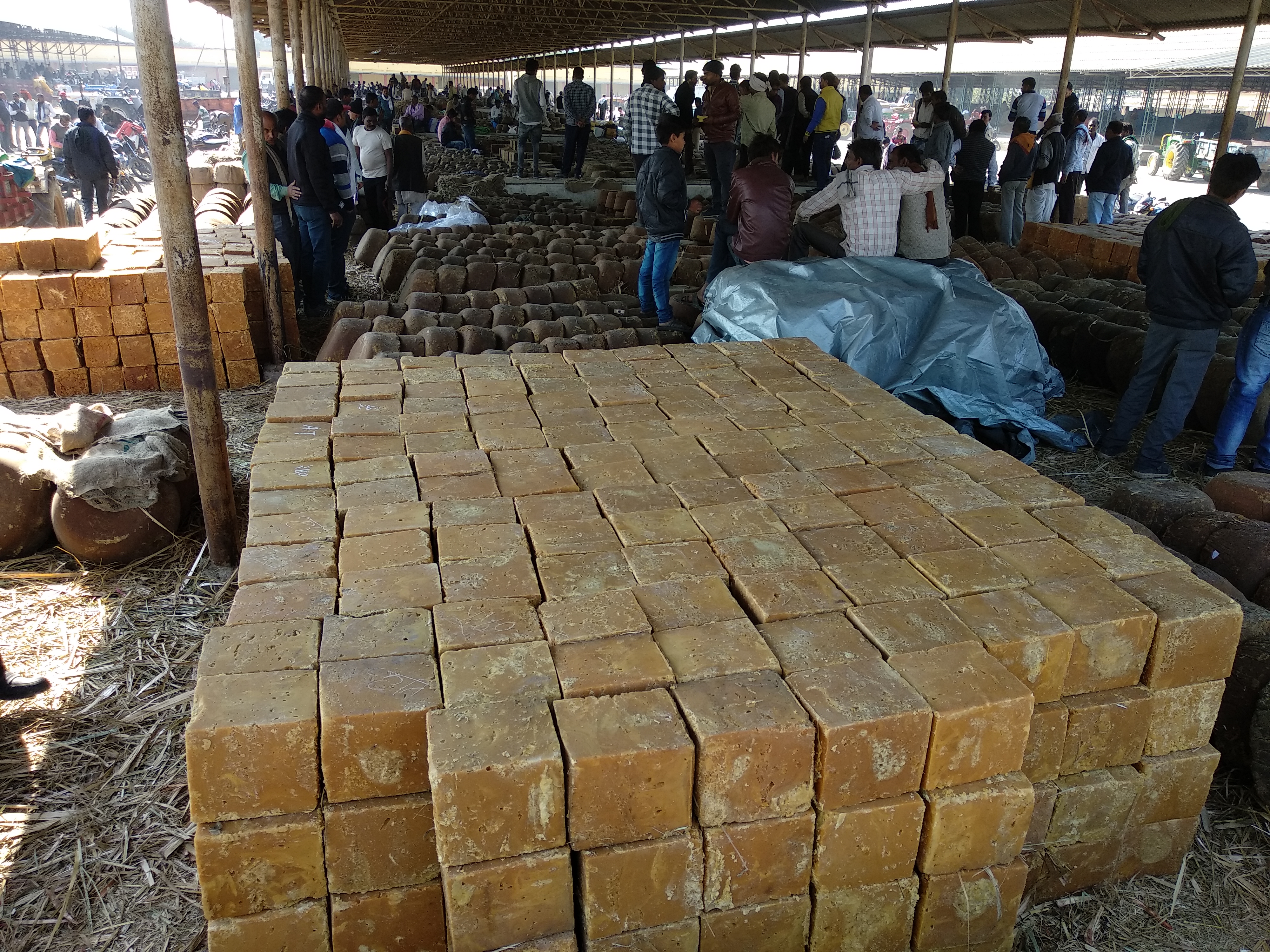 After soybeans, yellow gold is made of jaggery, if the prices get better, then the income will increase