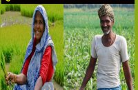 One more chance to apply for loan waiver farmers