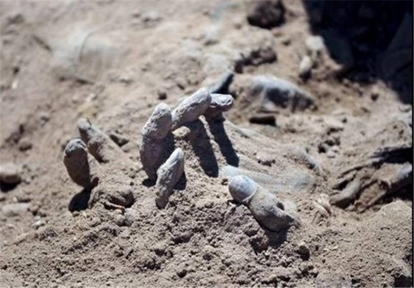 50 Mass graves discovered in DR of Congo