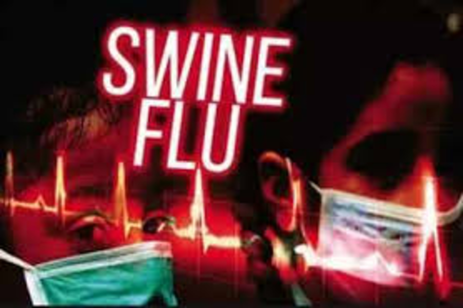 swine flu in jodhpur