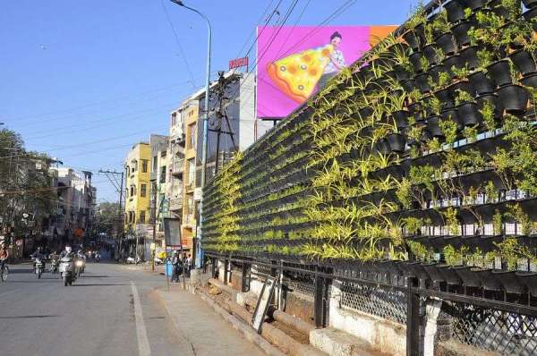 Hanging garden on bridge