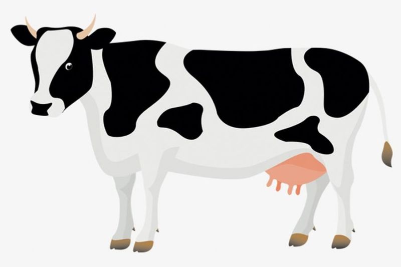 12-digit unique number will be like Aadhaar card for pets