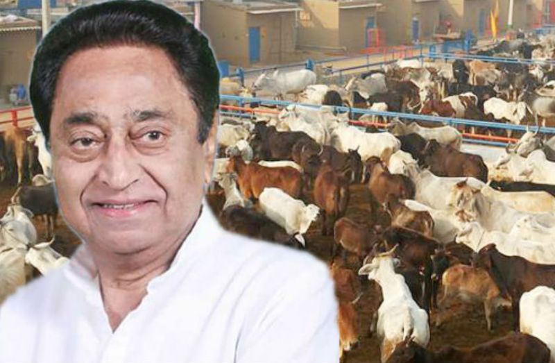 kamal nath