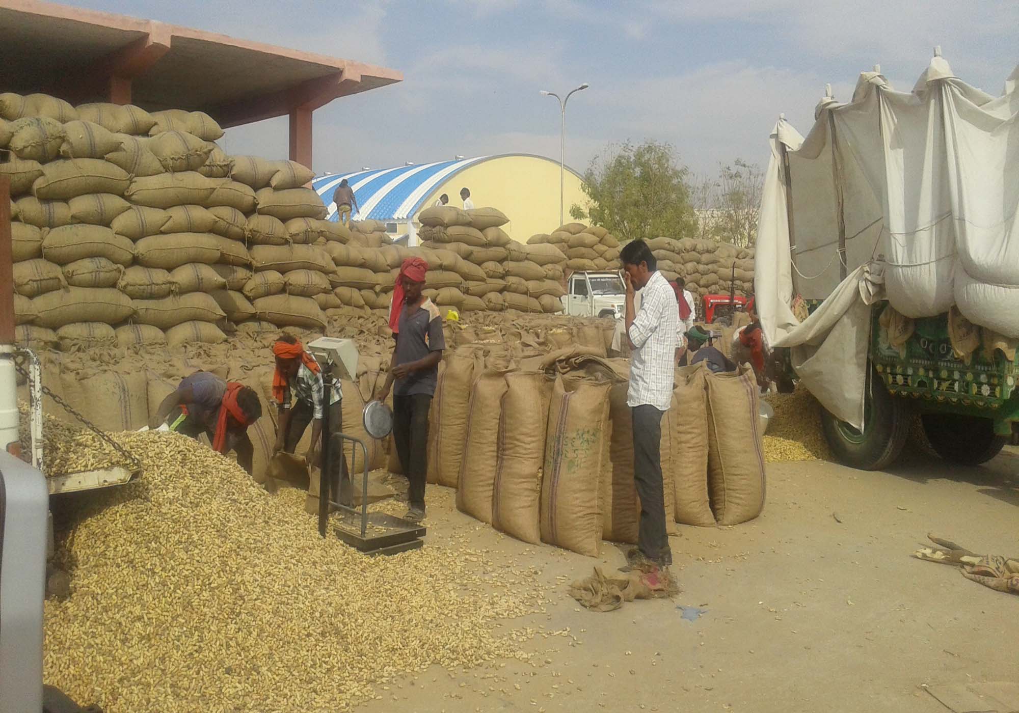 Rajfad stopped importing of groundnut peanuts