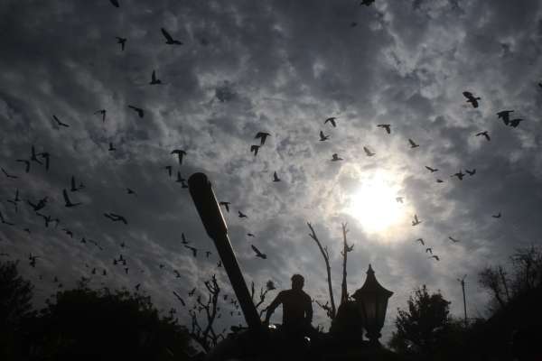 pics of clouds on the sky