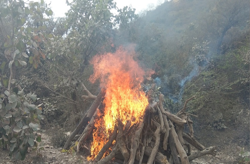 patrika
