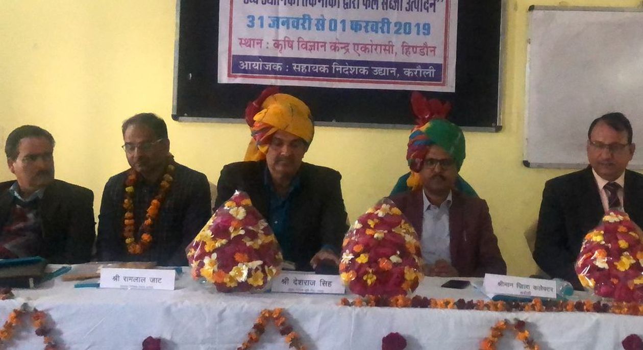 hindaun karauli news