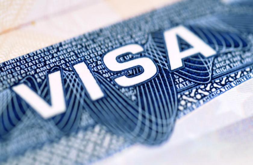 Immigration attorneys blames officials for visa fraud