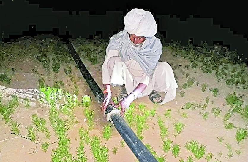 electricity connection for farmers