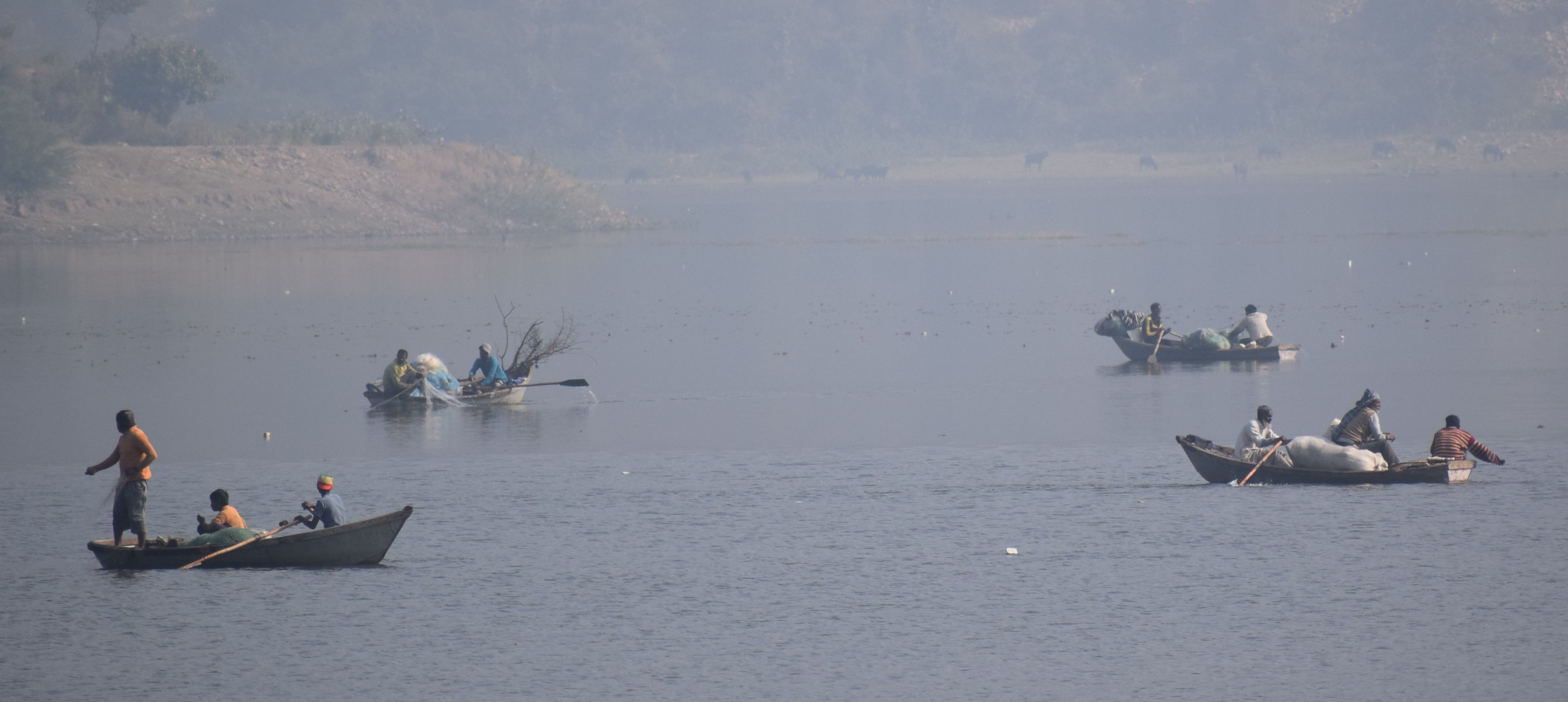 Siliserh Lake : Boats Are Trapping Into Net of Fisherman