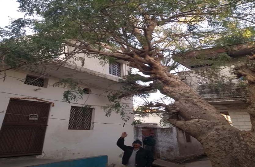 dholpur news dholpur