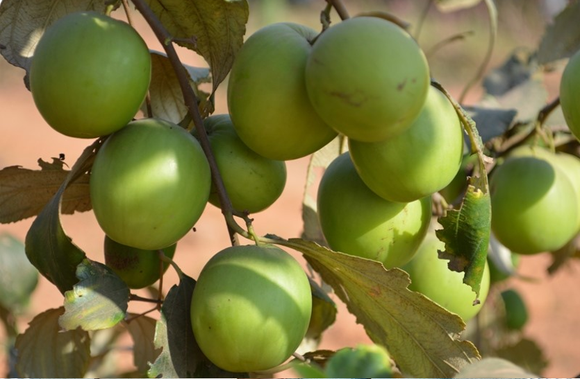 ber-is-beneficial-for-many-body-problems