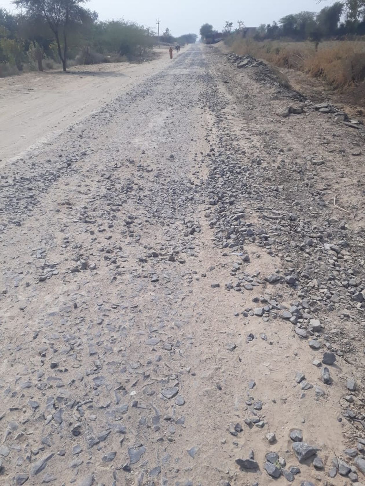 दो माह पूर्व ग्रेवल सड़क बनाई, डामरीकरण का अभी भी इंतजार