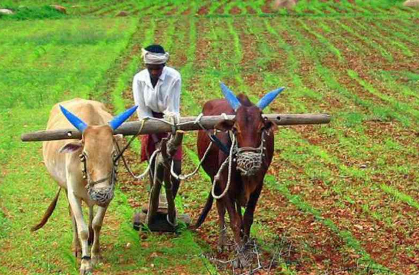 rajasthan farmers loan