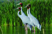 rajsamand latest hindi news, Rajsamand news, Rajsamand big news